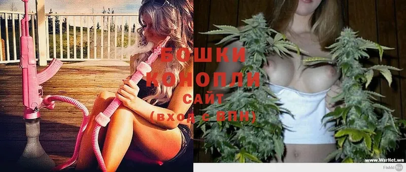 Каннабис Ganja  купить закладку  Приозерск 